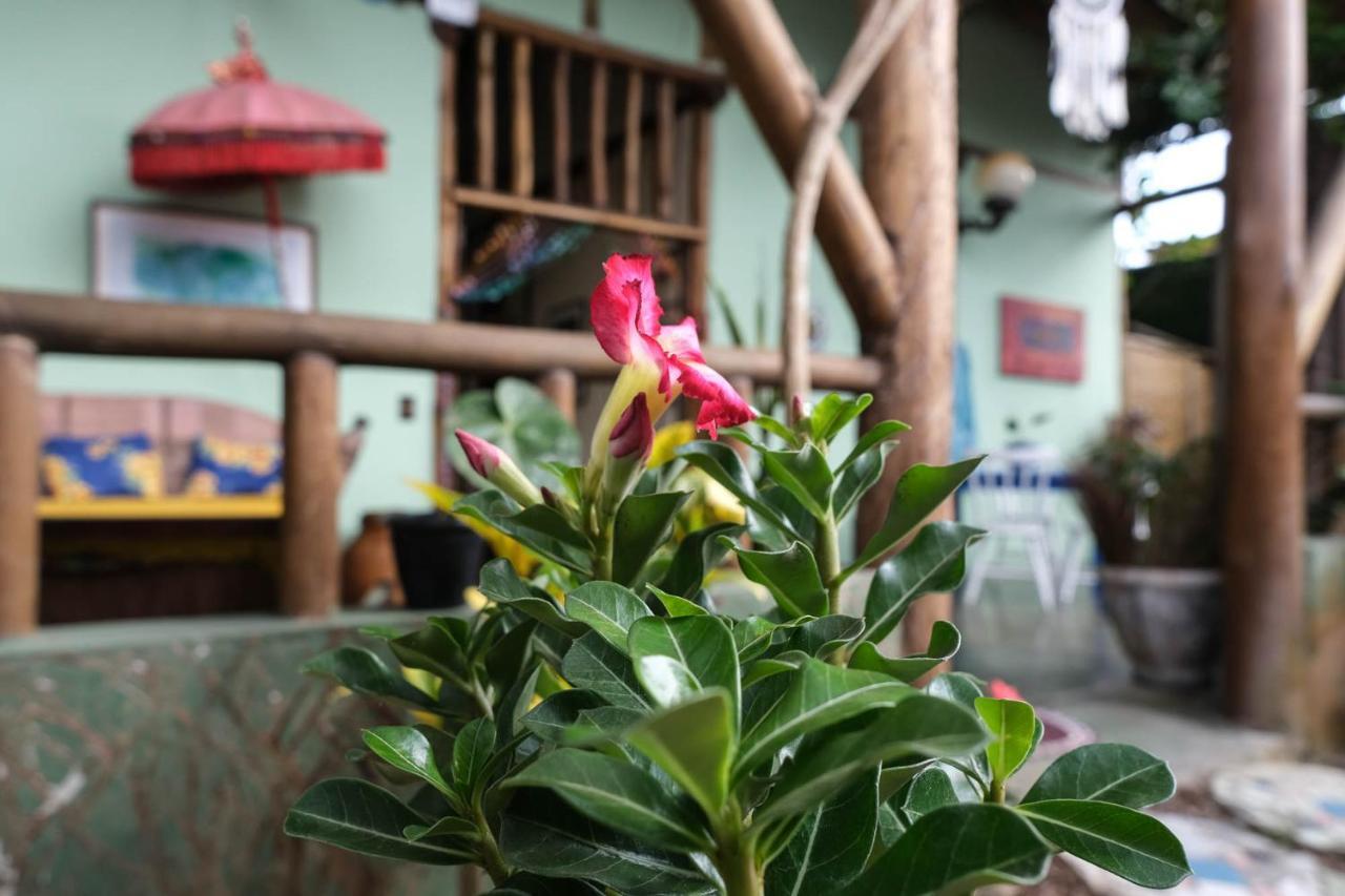 Velinn Pousada Gaia Gardens Parati Esterno foto